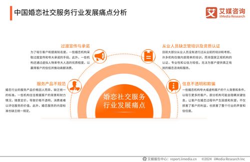 2024-2025年中國(guó)婚戀社交服務(wù)市場(chǎng)研究報(bào)告 趨勢(shì)、挑戰(zhàn)與機(jī)遇